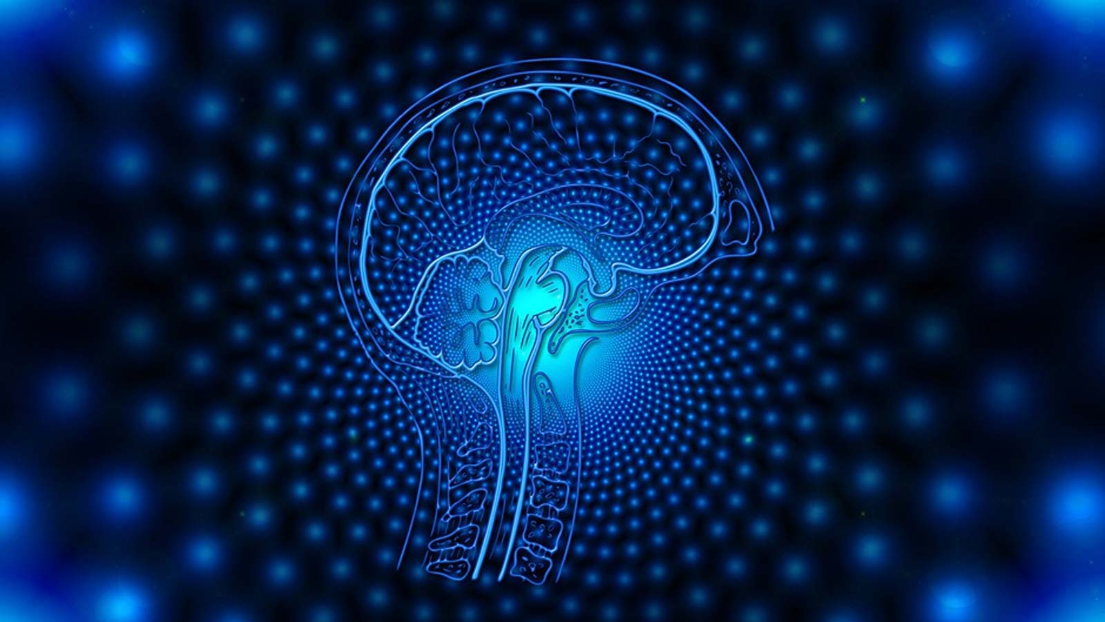 FUJIFILM Irvine Scientific Acquires Exclusive License for Artificial Intelligence for IVF