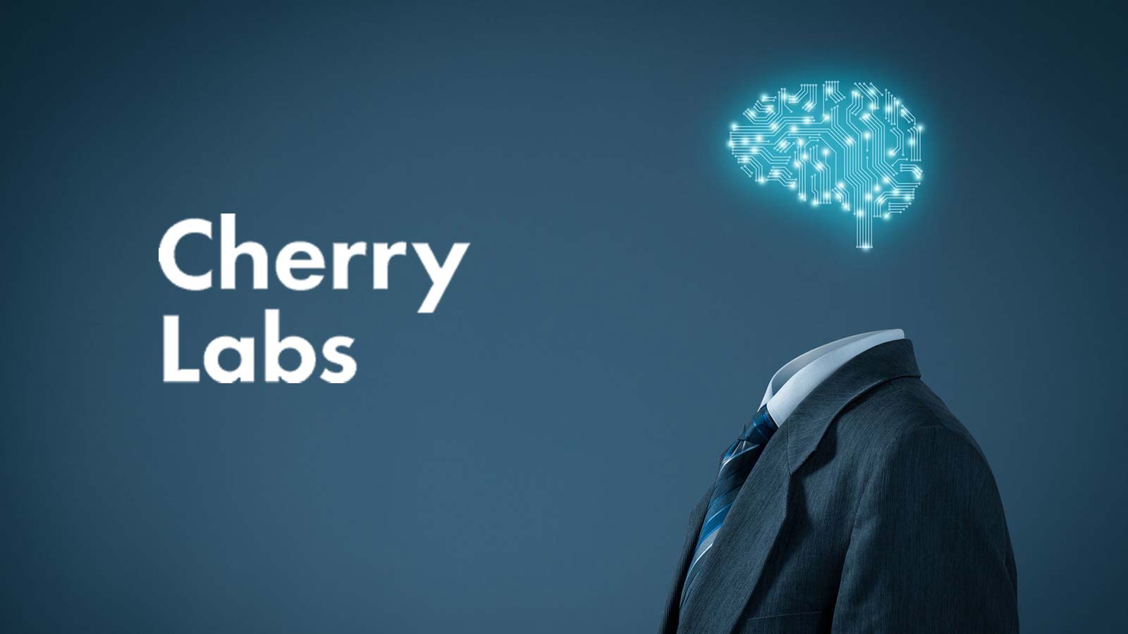 Cherry Labs Awarded NIH Grant to Help Older Americans Age in Place Independently Using Privacy-protected, AI-based Monitoring