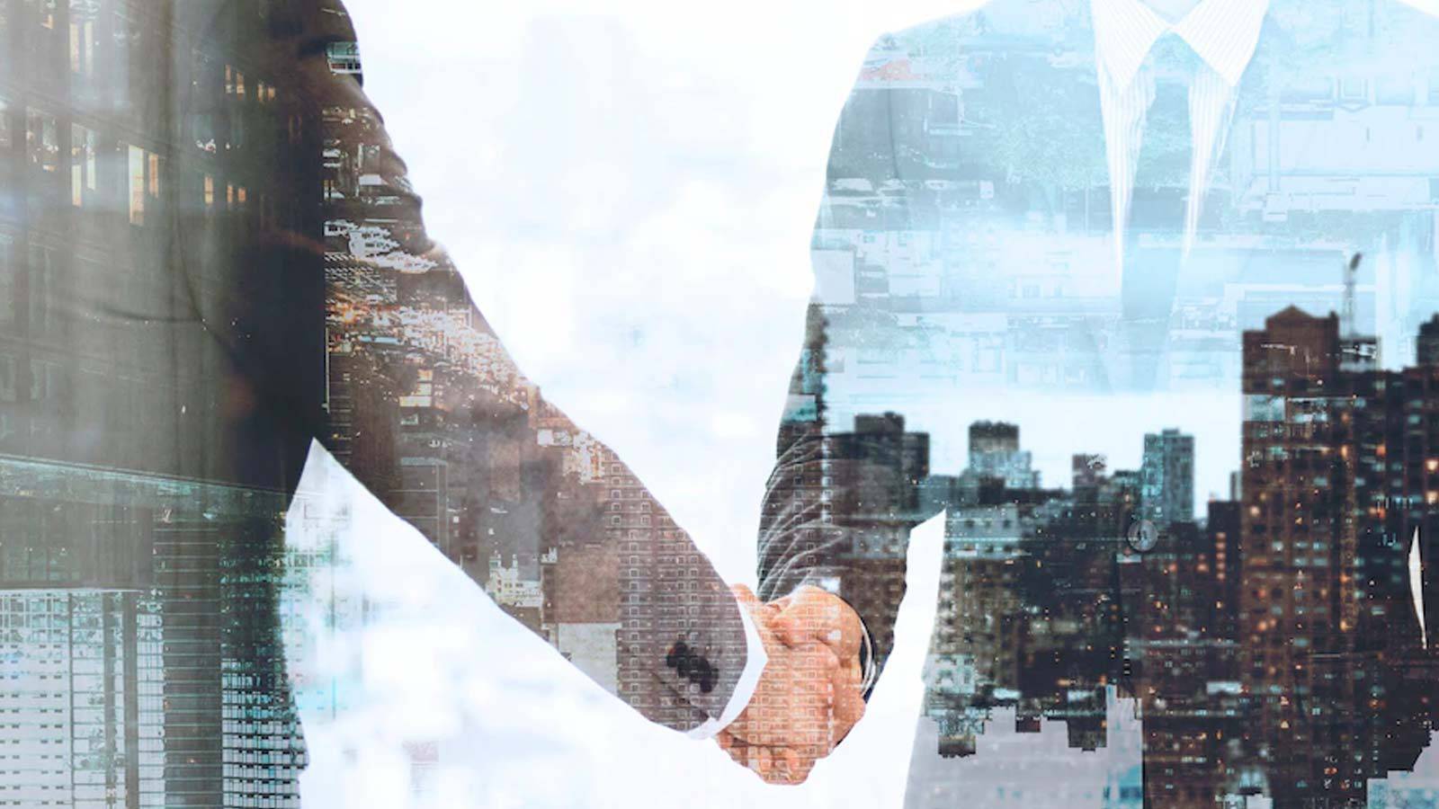 Plunk Appoints Insurance and Finance Industry Leaders Joan Woodward and Jeff Zajkowski as Company Directors
