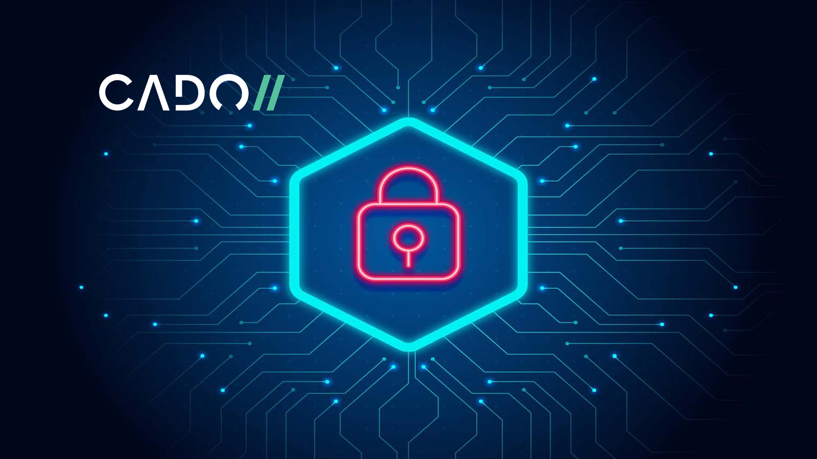 Cado Security Launches Free Community Edition