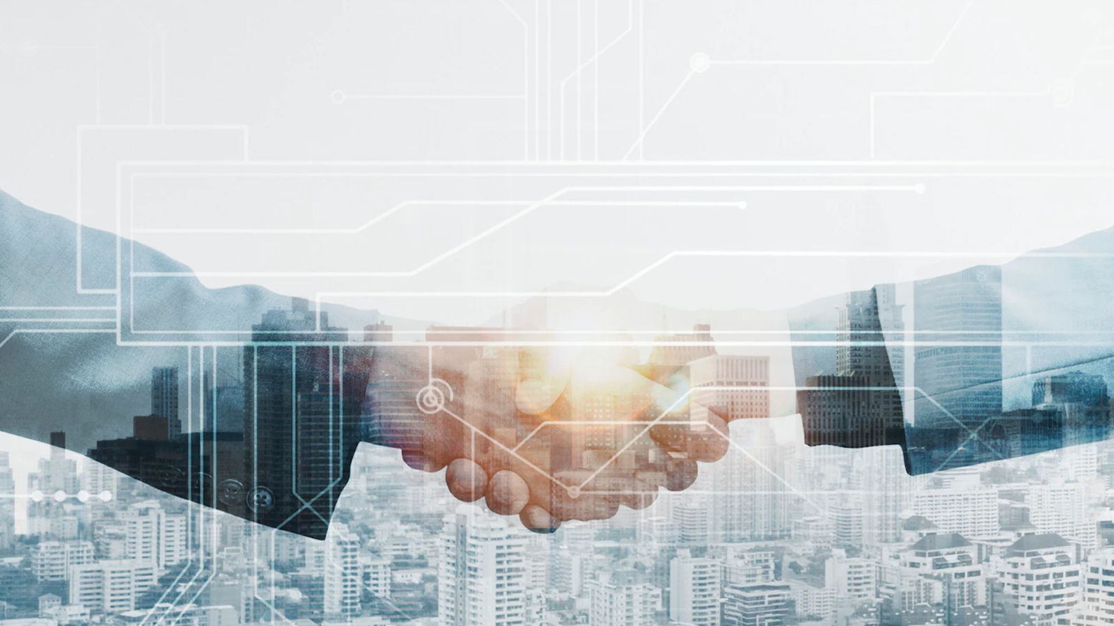Evergreen partners with local Ontario conservation authority and Peel Region for next phase of AI for the Resilient City