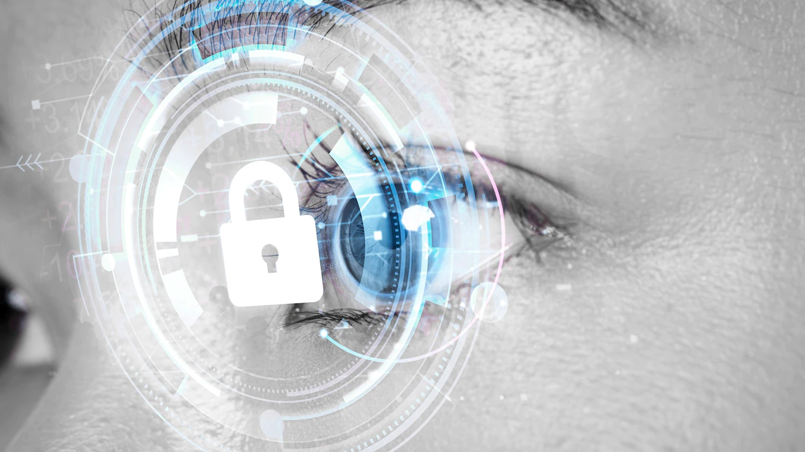 Firms-in-France-Adapt-Cybersecurity-to-Meet-IT-Challenges