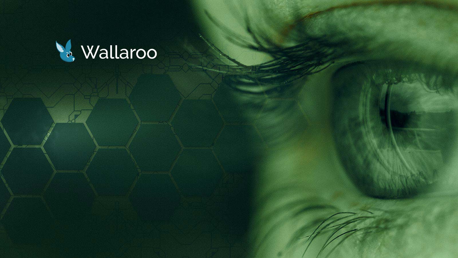 Wallaroo Labs Launches in Azure Marketplace; Announces Air Gap Support for Edge Machine Learning Deployment