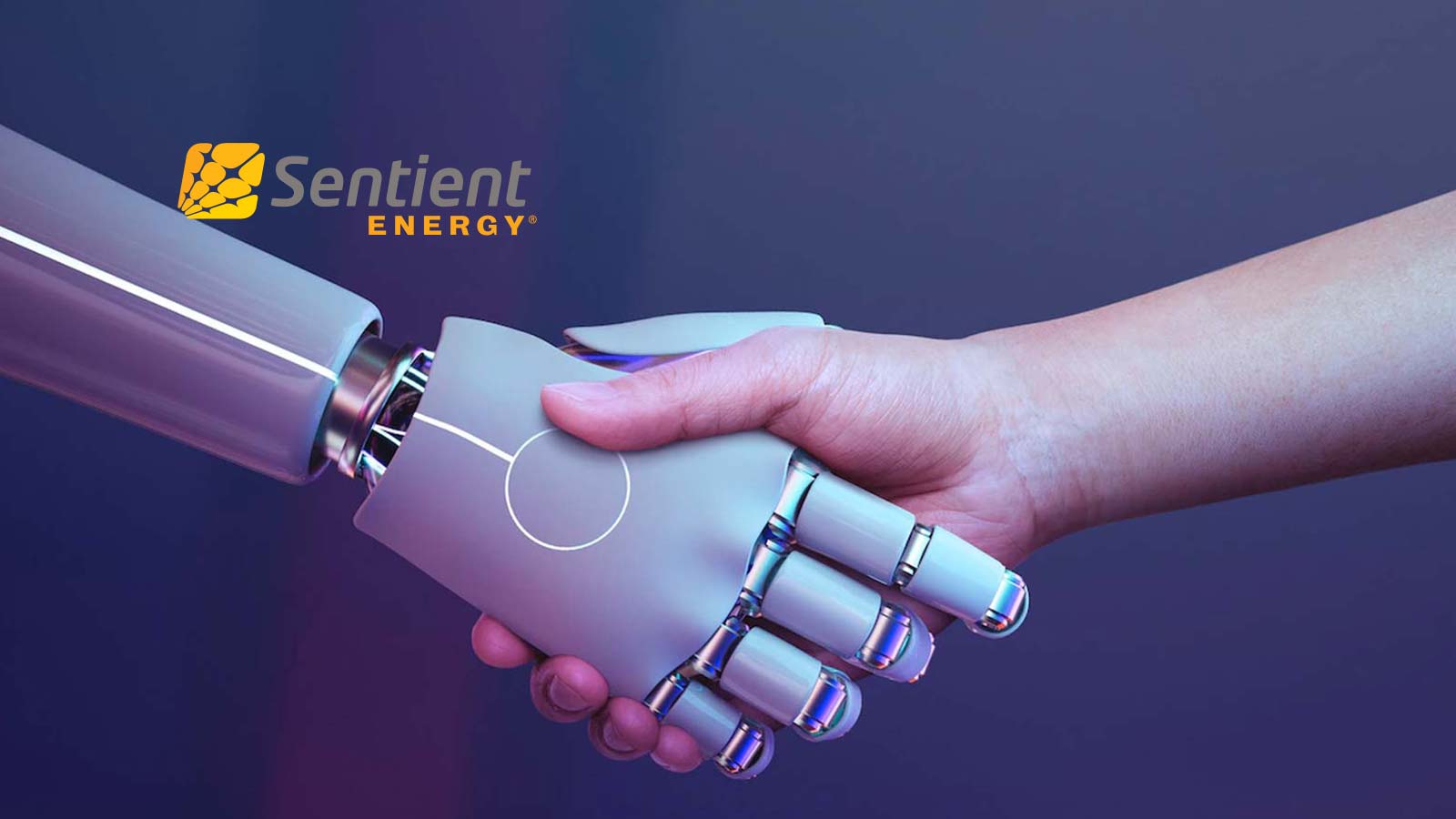 Sentient Energy Solutions Now Available in AWS Marketplace; Announces Partnership with Survalent