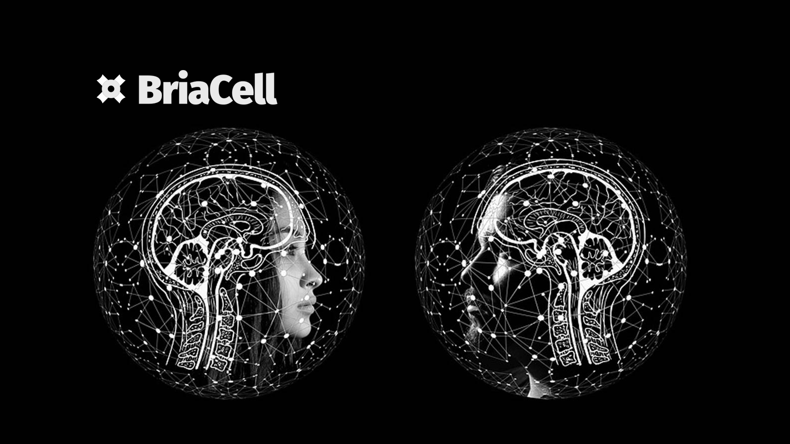 IPA’s Subsidiary BioStrand and BriaCell Announce Artificial Intelligence Collaboration and License Agreement