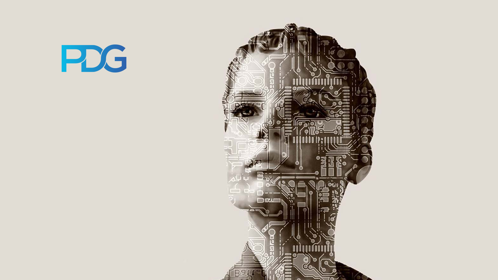 PDG Consulting Joins NetSuite Solution Provider Program