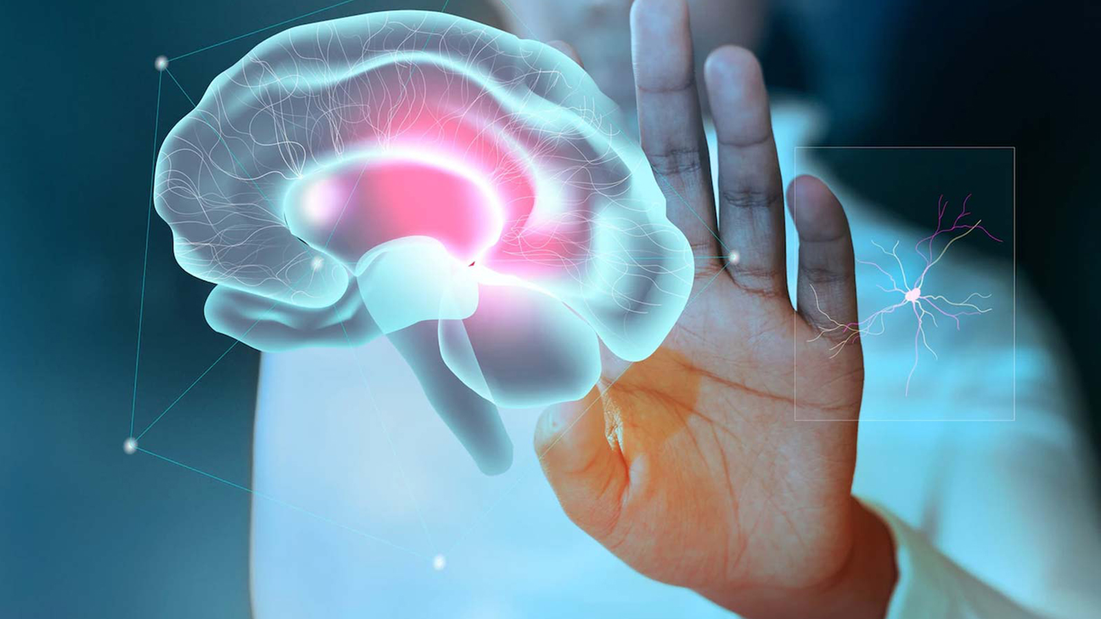 PlanET Biogas Announces the Formation of PlanET Organics and Staffing Growth