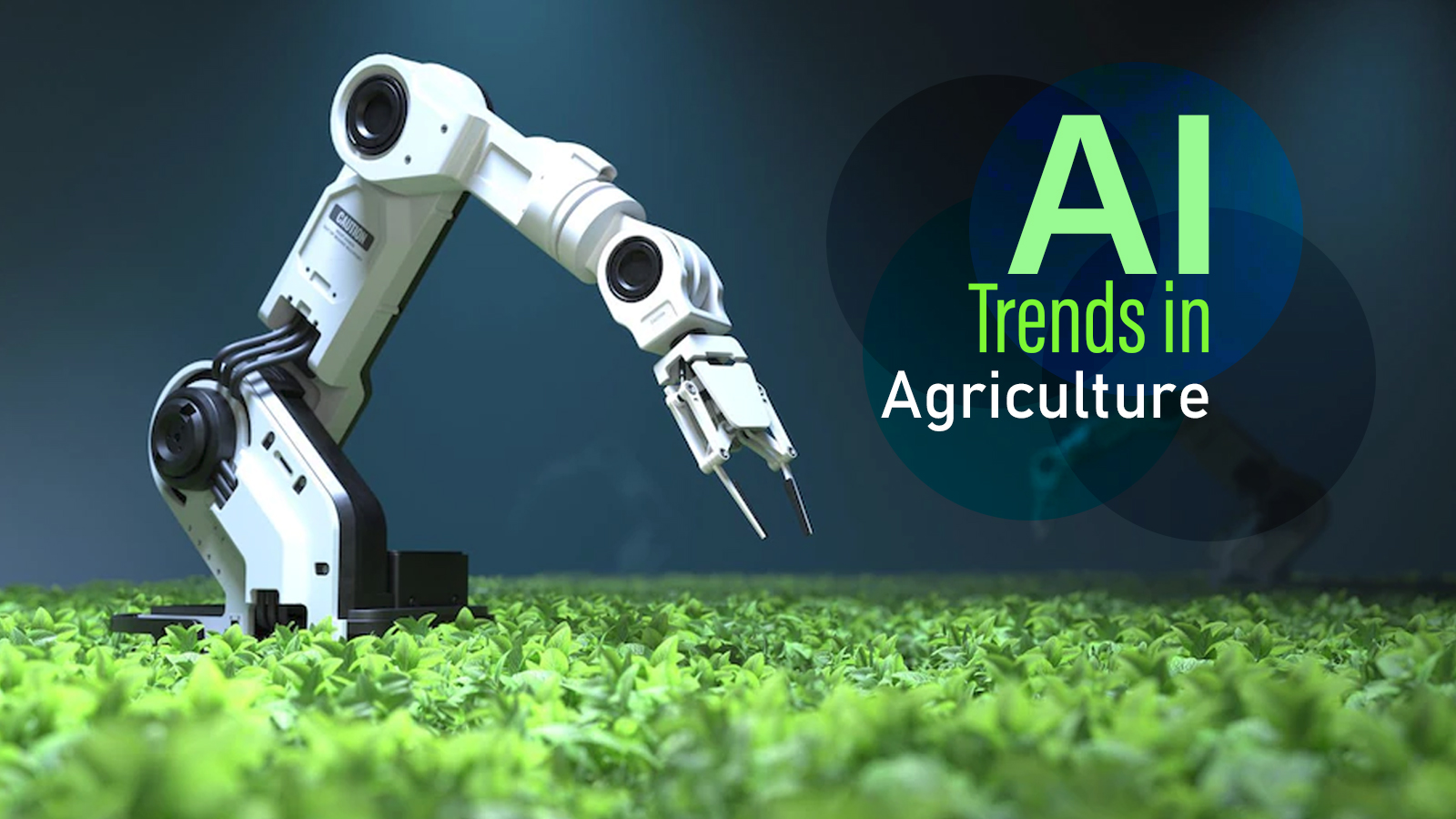 Enabling Farm Easy: AI Trends in Agriculture