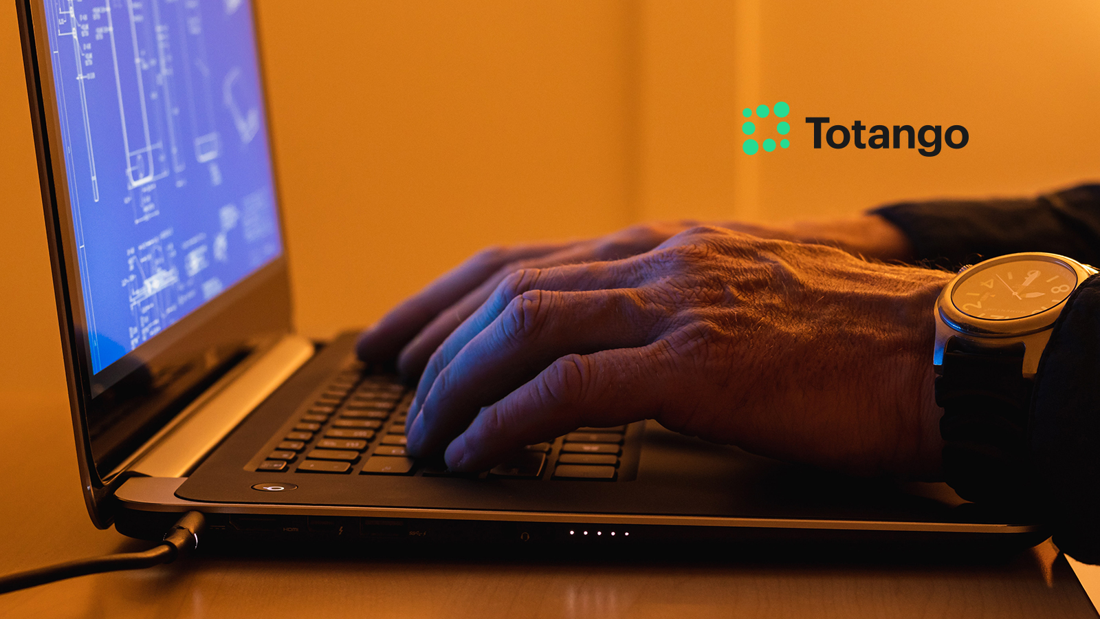 Customer Success Leader Totango Names Alistair Rennie as CEO