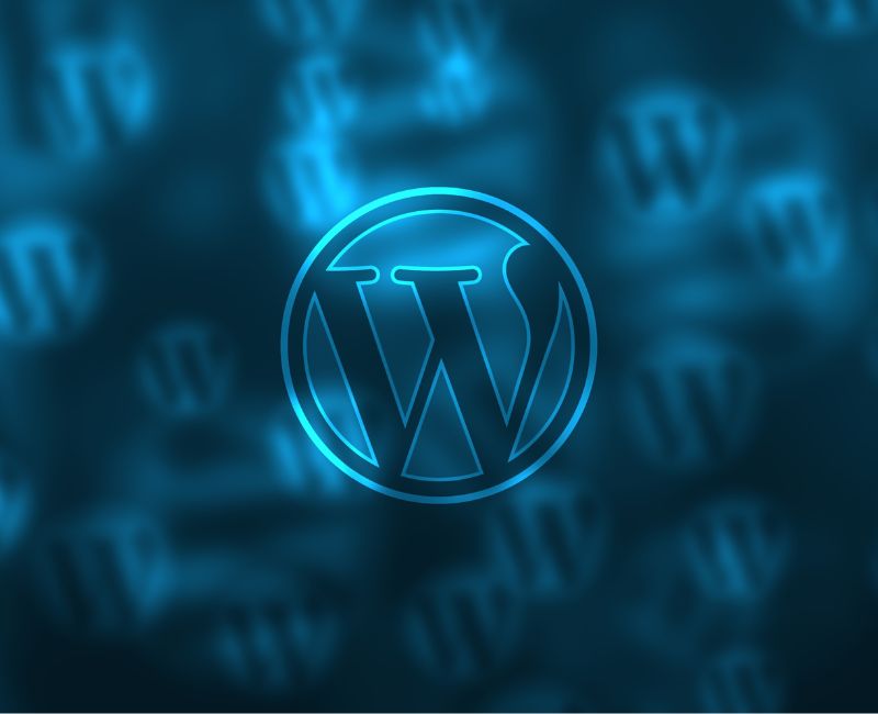 How Should You Use WordPress to the Maximum Advantage?