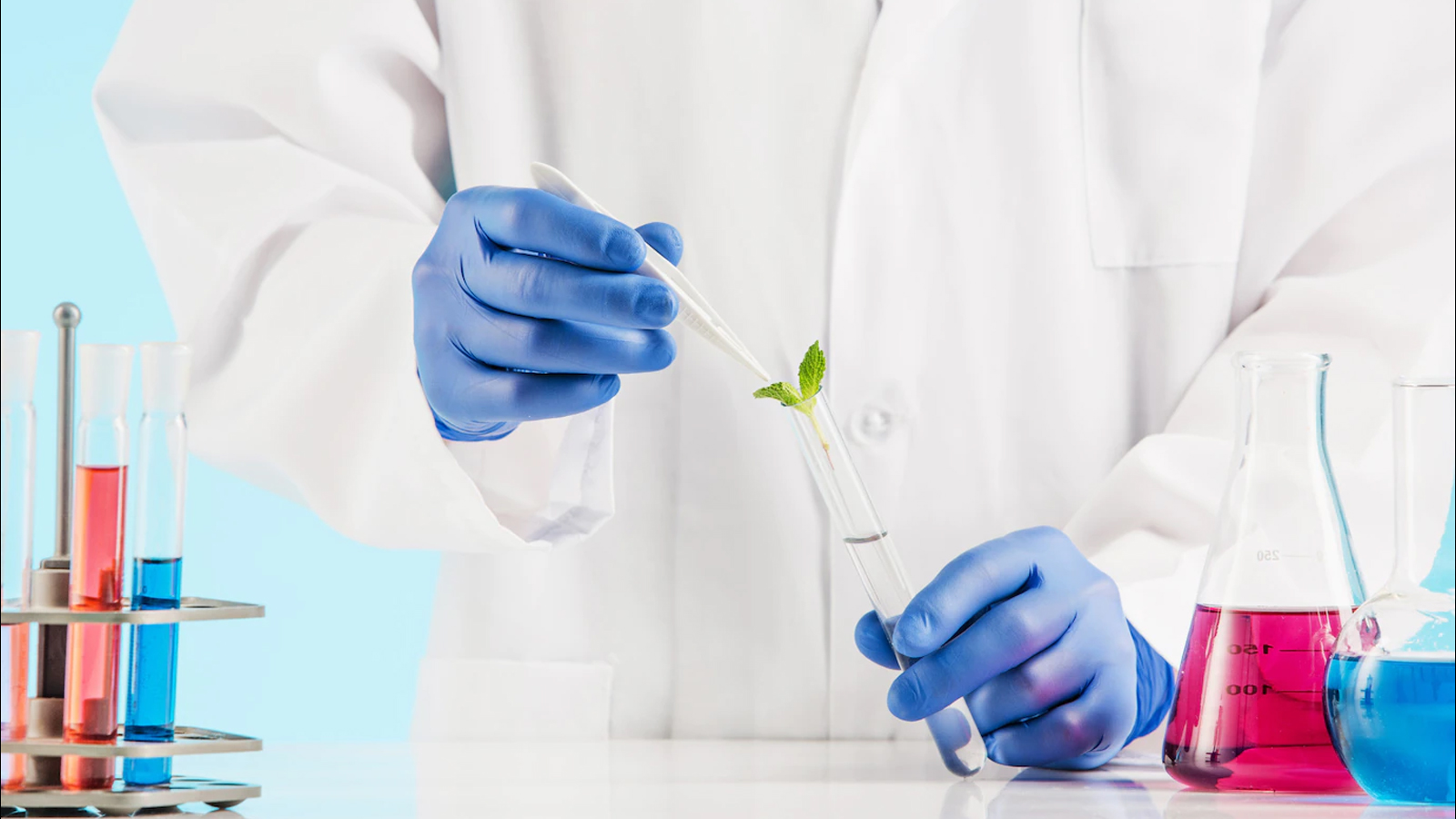 Rebound Ltd., Bioeconomy and ACX sign a Memorandum of Understanding forming a Net-Zero Carbon and Plastics Alliance