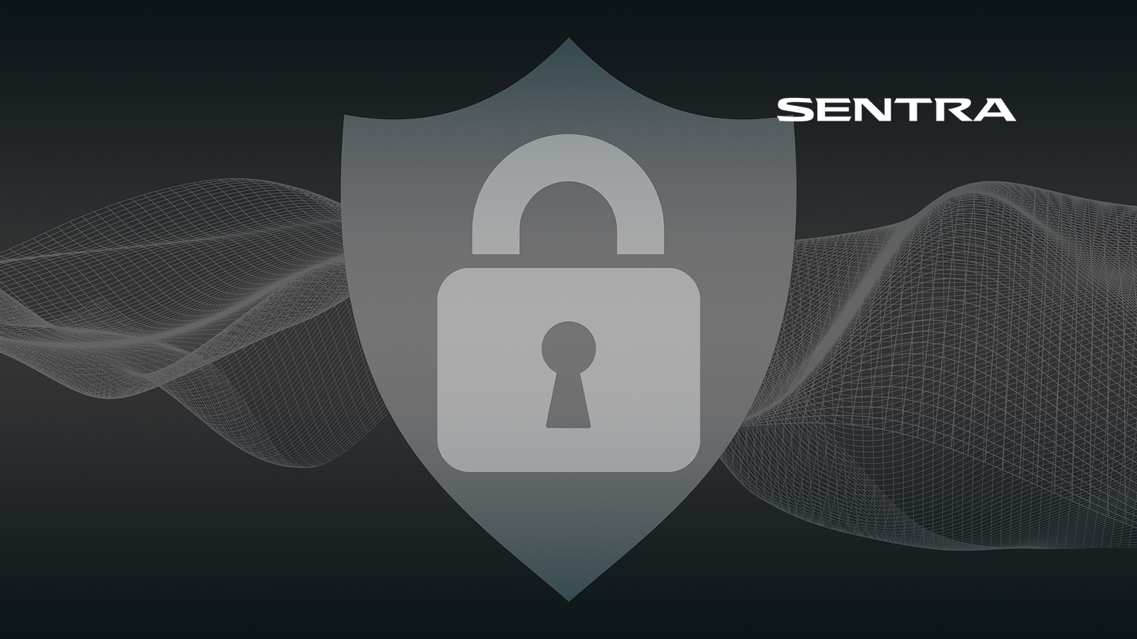 Sentra Raises $30 Million Series A Financing to Meet Growing Demand for Data Security in the Cloud