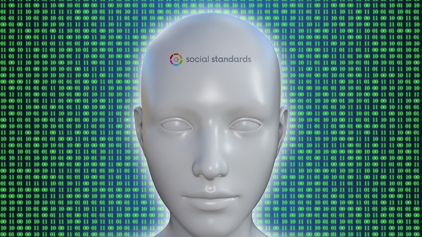 Social Standards Adds TikTok Consumer Intelligence