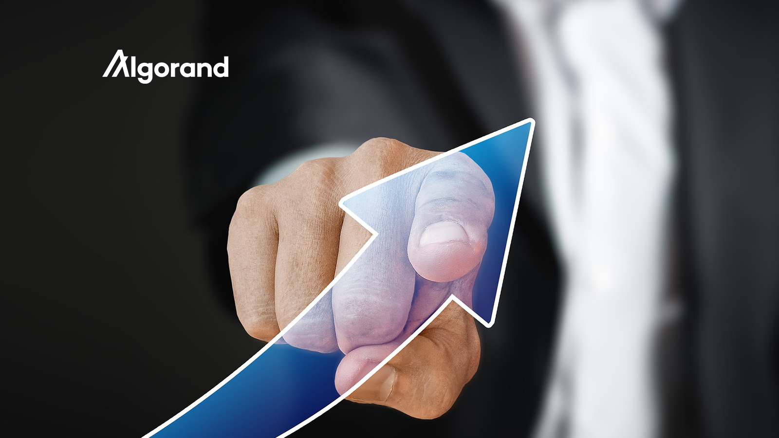 Matthew Commons Appointed CFO of Algorand