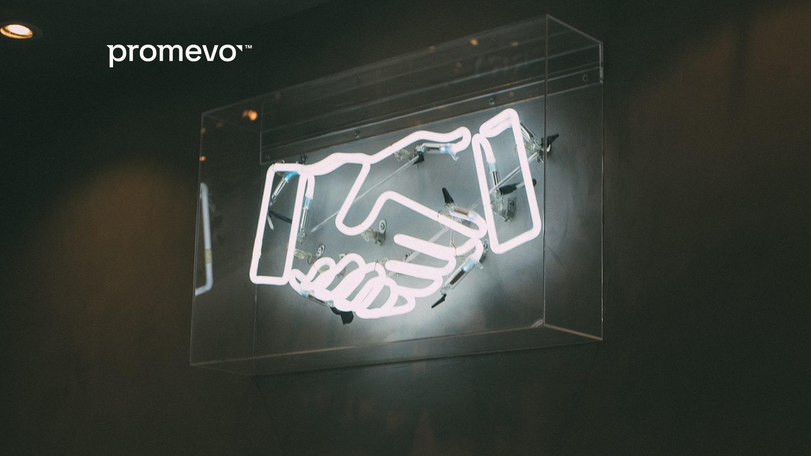 Promevo and Cameyo Partner to Provide Organizations with End-to-End Google Solutions & Services for the Digital Workspace