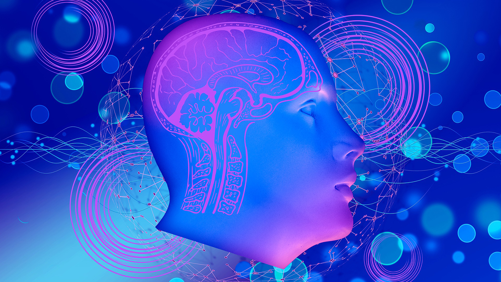 Leverage Artificial Intelligence Tools to Reduce Fraud and Friction for Customers