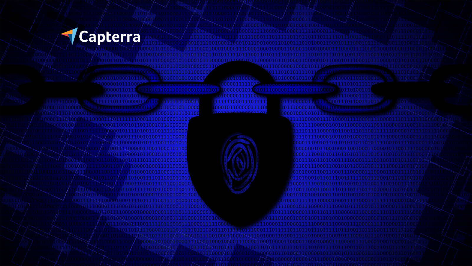 Up to 45% of U.S. Businesses Stopped Using a Software Platform Because of Security Concerns