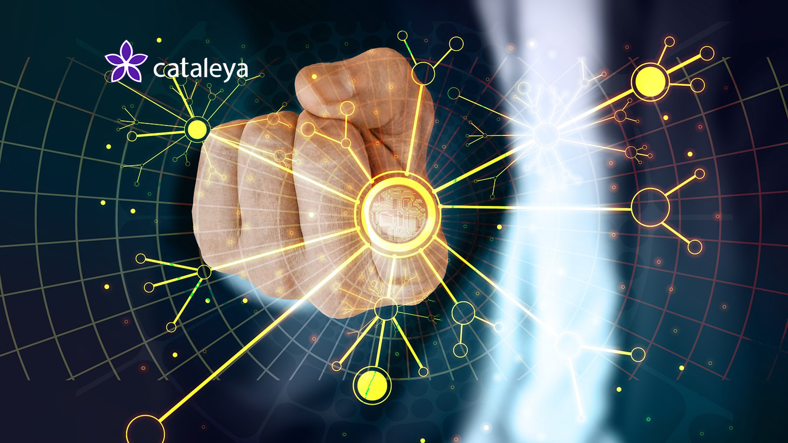 XConnect Partners with Cataleya to Combat Voice and SMS Fraud Through its Accurate and Up-to-Date Numbering Data