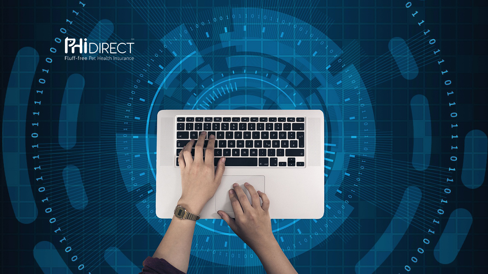Canadian Pet Insurance Company, PHI Direct, Launches CatGPT - A Major Breakthrough in Feline Artificial Intelligence