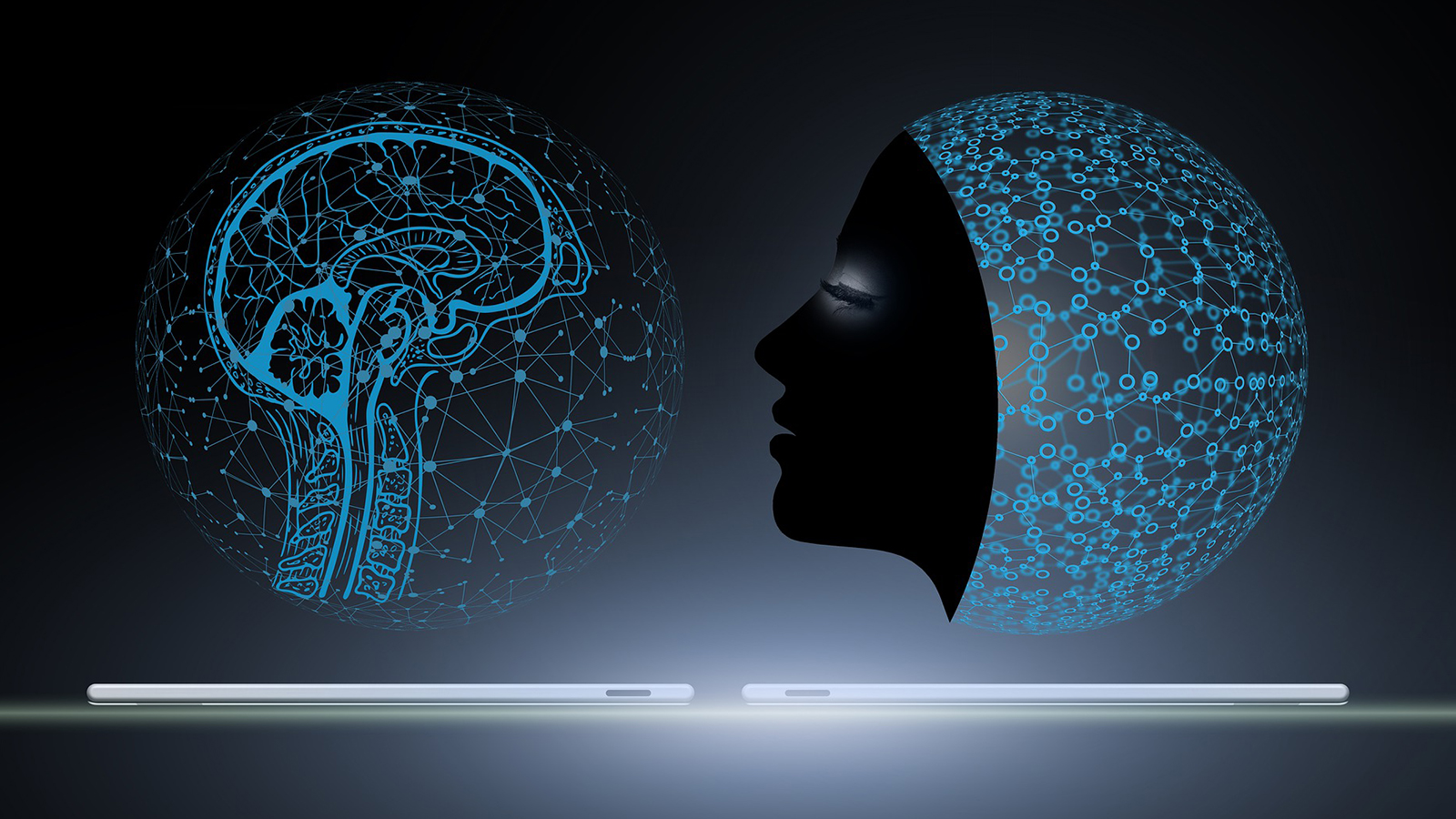 Centific Launches Honeybee, a Multipurpose AI Solution