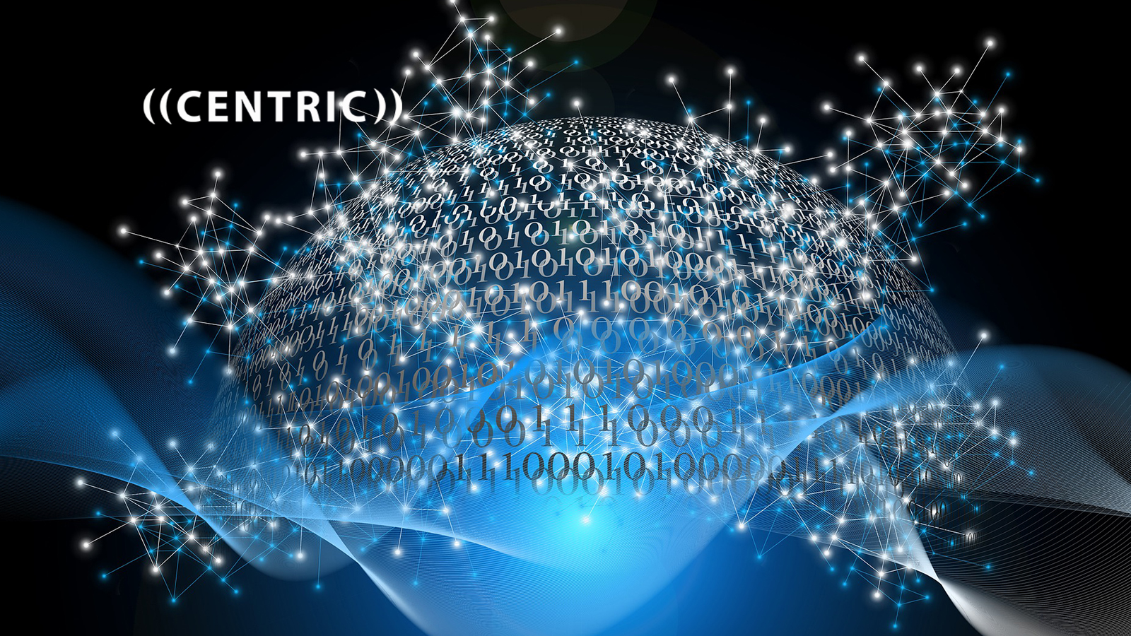 Centric Consulting Develops Salesforce Data Governance Application