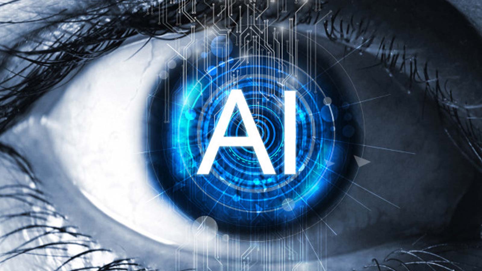 DoubleVerify Launches Programmatic Pre-Bid Attention Optimization Segments To Maximize Campaign Performance