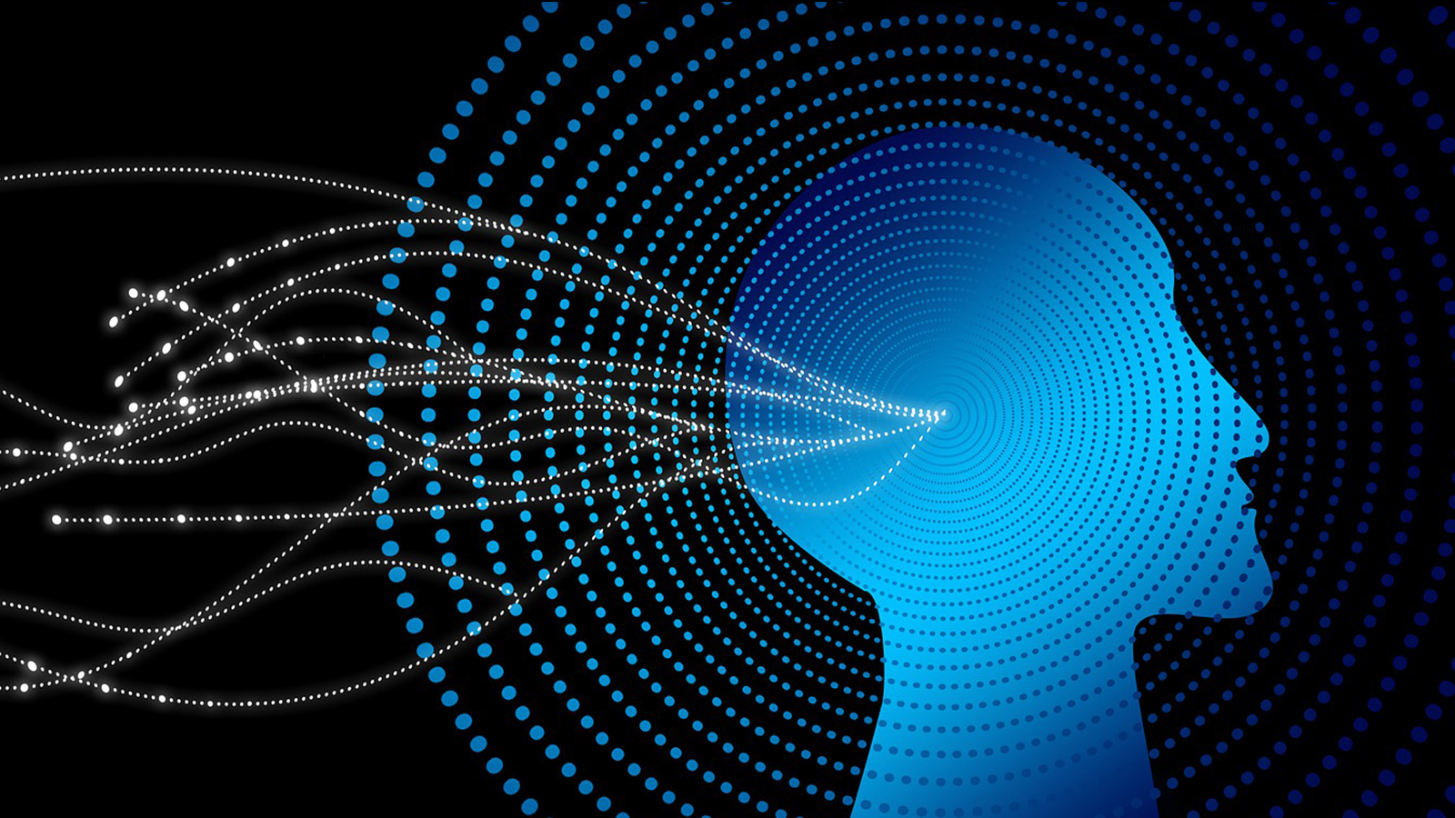 Profet AI Takes on the World With New Expansion Plans