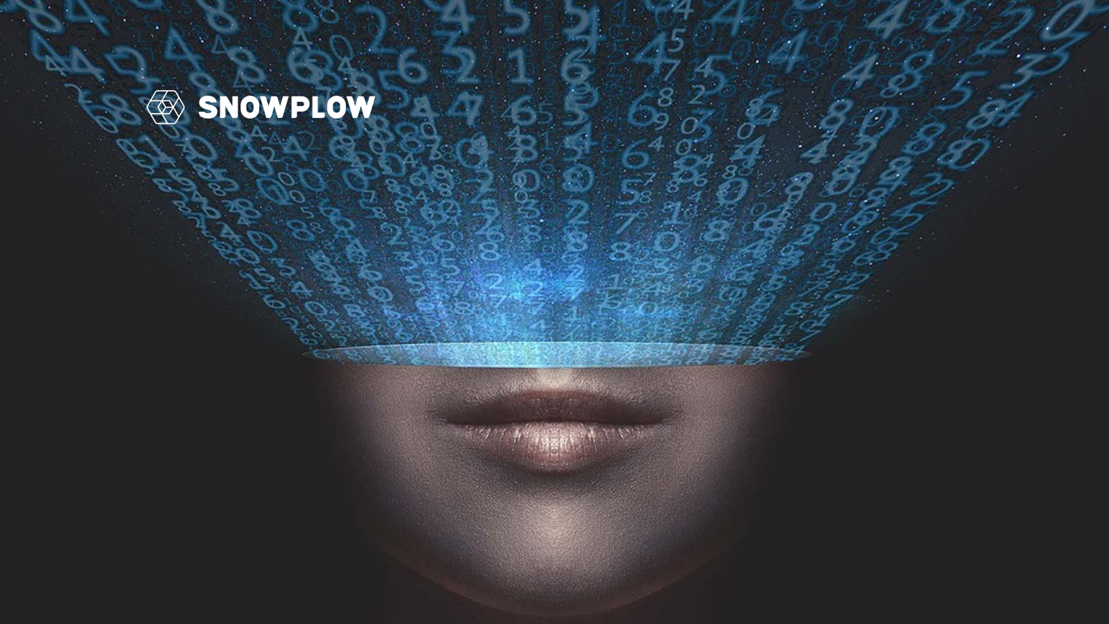 Databricks Ventures Invests in Snowplow