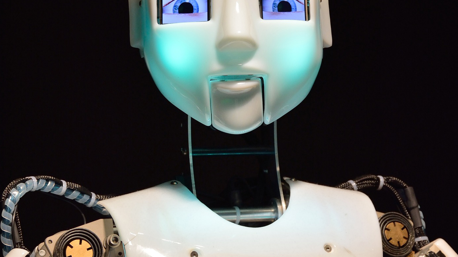 Patra Introduces AI to its All-In-One Policy Checking Service Offering, an Industry First