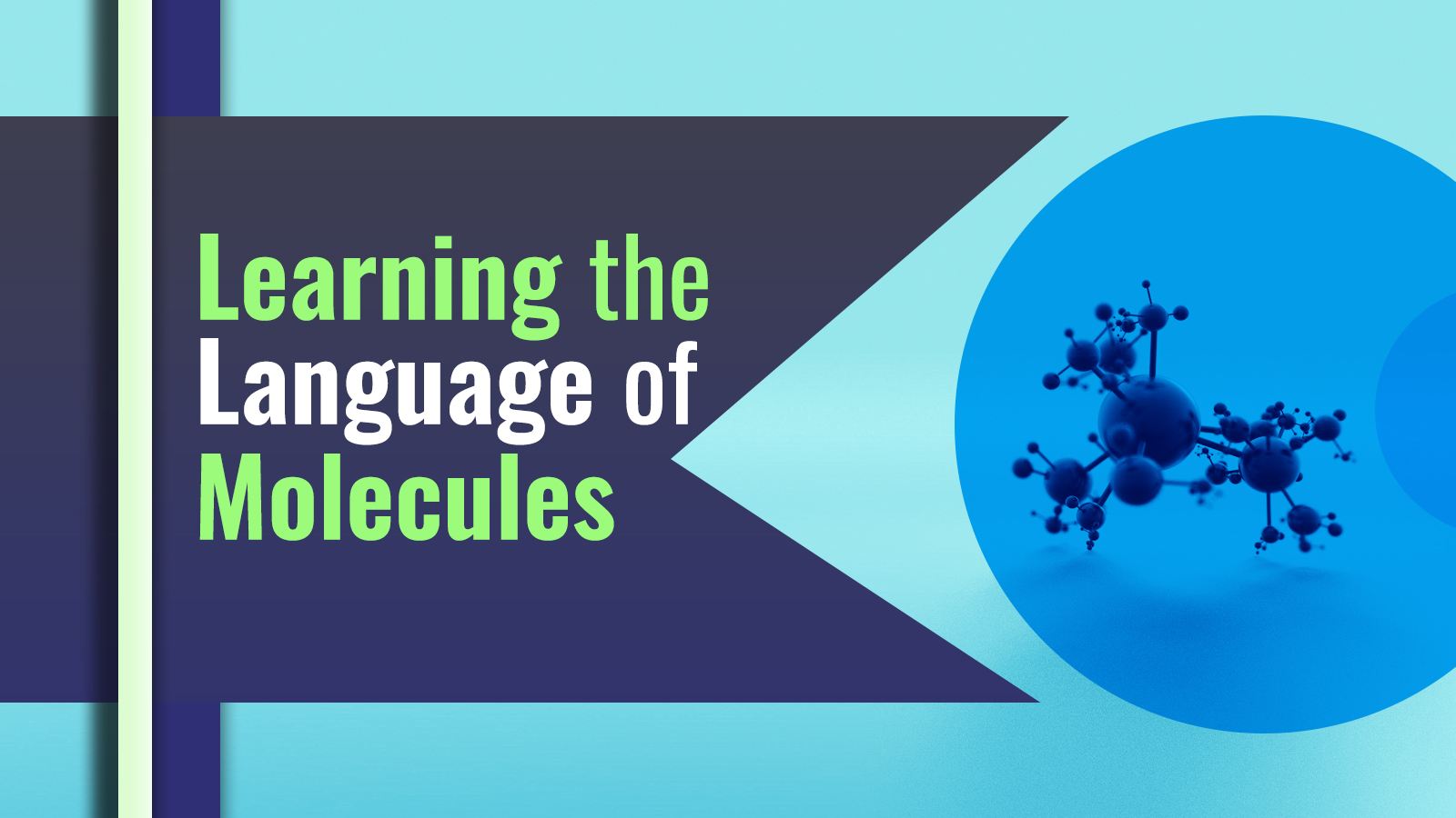 Decoding the Molecular Language: Predicting Properties through Molecule-Driven Insights