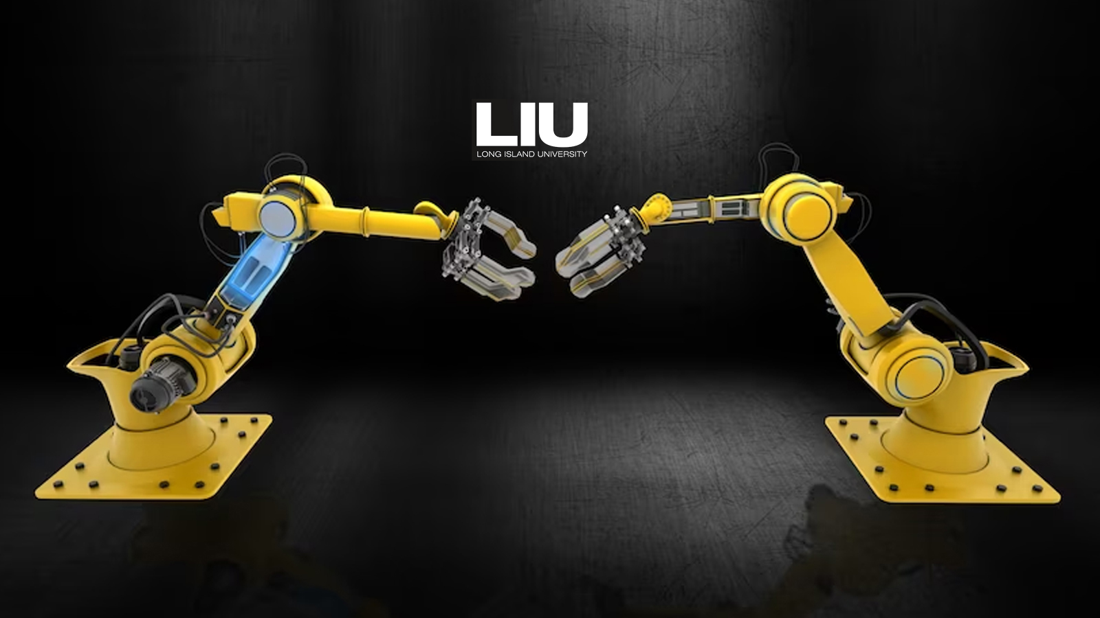 Long Island University Approved for Degree Bachelor of Engineering in Digital Engineering