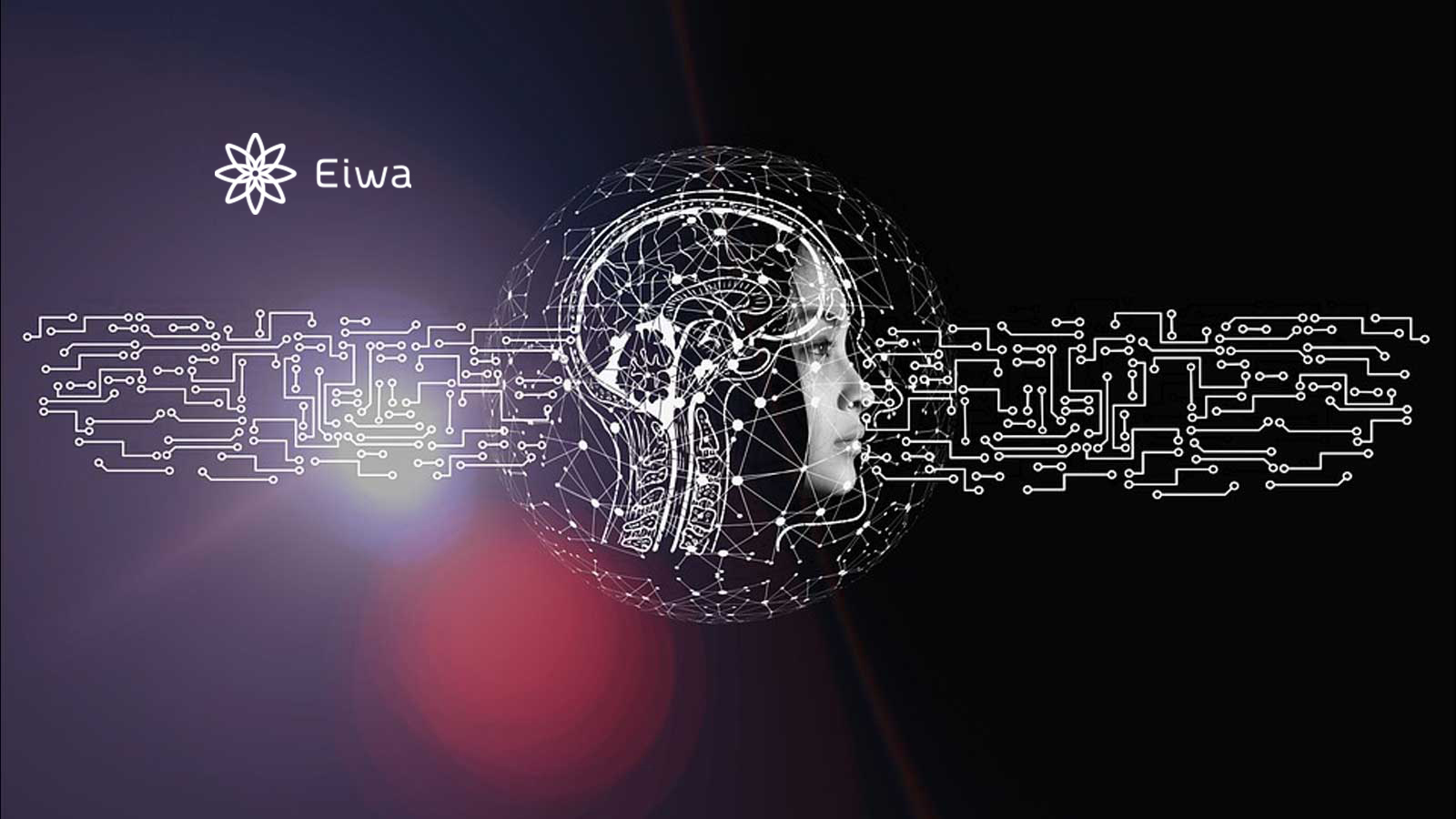 Eiwa Announces Groundbreaking Integration of SpaceSense Geospatial AI Tool Within Eiwa Vault Analytics Library