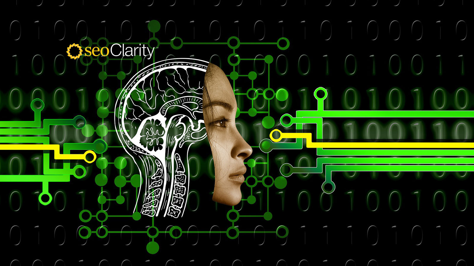 seoClarity Ushers in a New Era With the Launch of ChatGPT-Powered Assistant for SEO