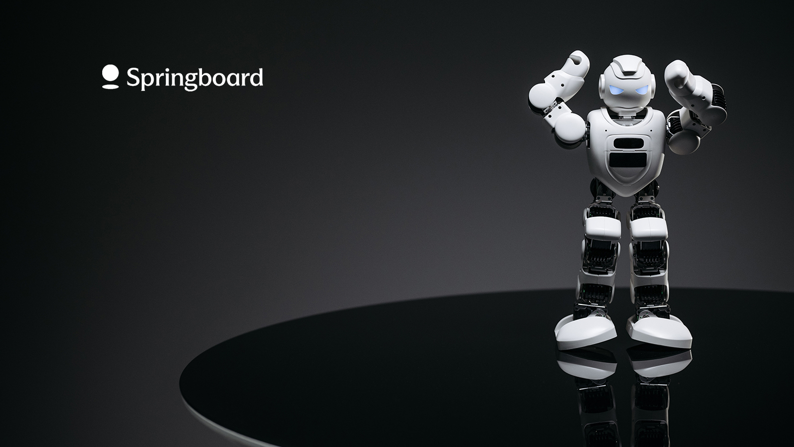 Springboard Launches New, 100% Online Machine Learning Engineering and AI Bootcamp for University Partners