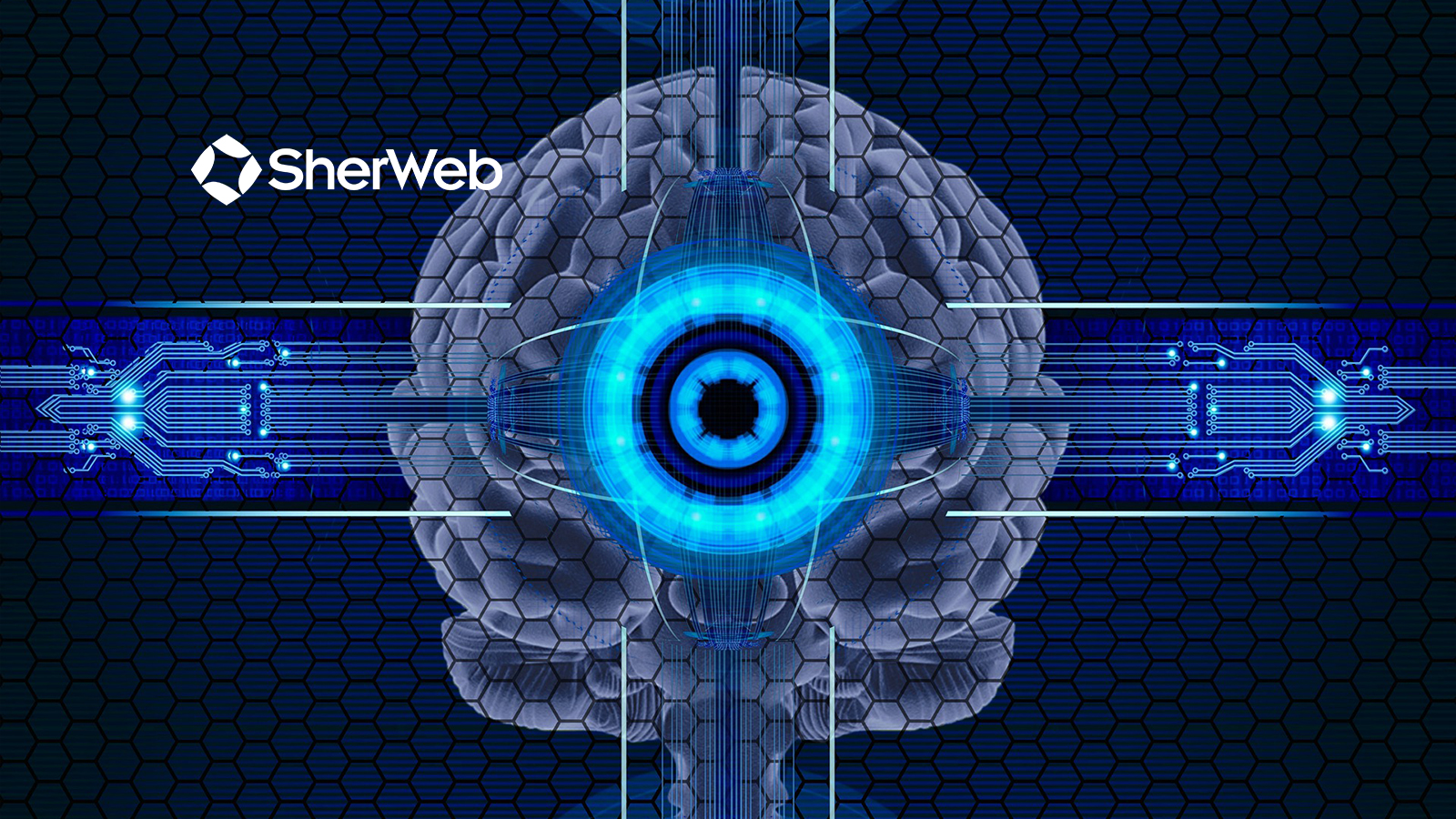 Sherweb Offers Managed Service Providers Enhanced Cybersecurity Powered by AI With SentinelOne