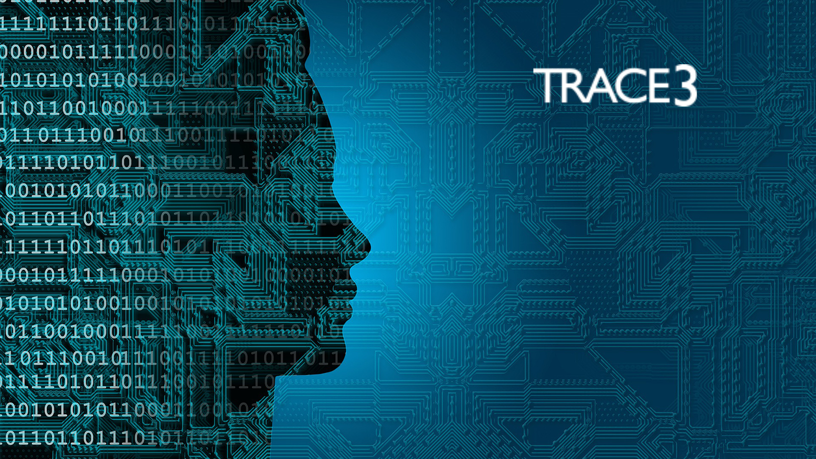 Trace3 Acquires Tail Wind Informatics