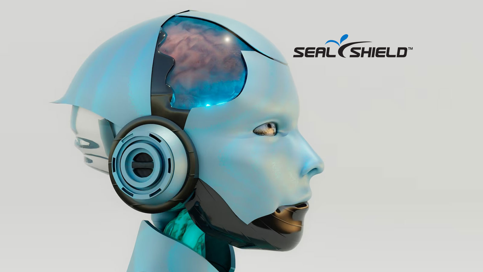 Seal Shield Unveils Shyld AI at HIMSS 2024