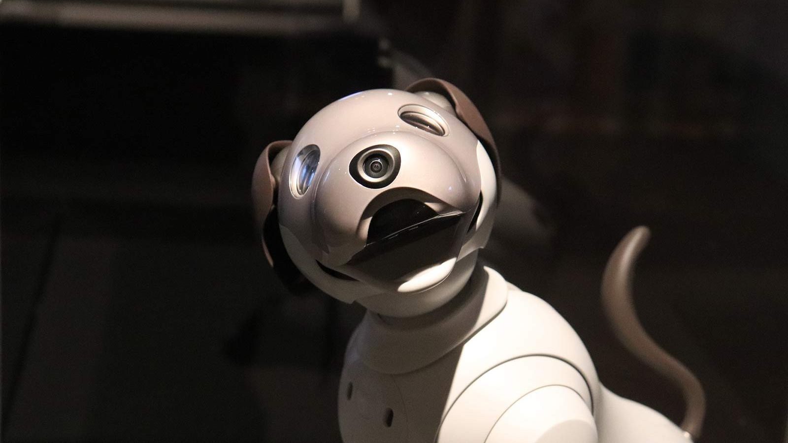 FusionCharts Launches Ask FusionDev AI, a Revolutionary AI Assistant for Data Visualization Developers