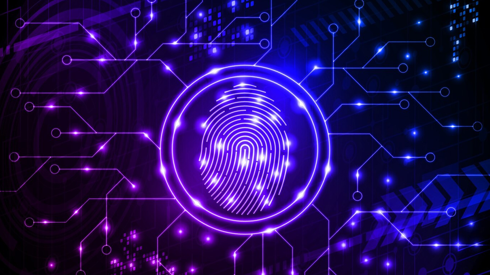 Bolo AI is Building the Operating System for Heavy Industries With an $8.1 Million Seed Round